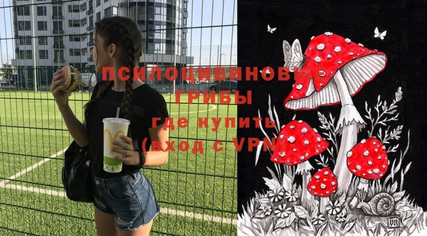 дмт Михайловка