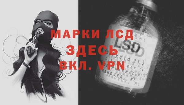 ПСИЛОЦИБИНОВЫЕ ГРИБЫ Алексин